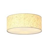 Lampa sufitowa  ASTON 3 CORK