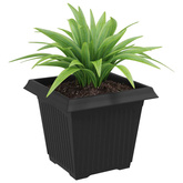 Kwadratowa doniczka na kwiaty 24 pcs Czarny 20 x 20 x 16 cm