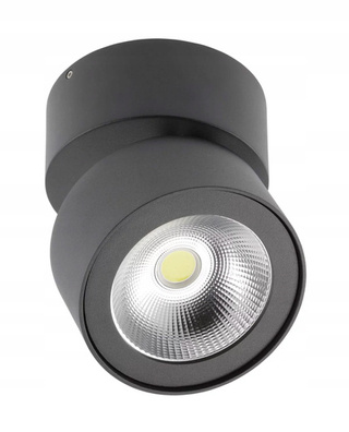 Oprawa oświetleniowa sufitowe natynkowe 15 W zintegrowane źródło LED