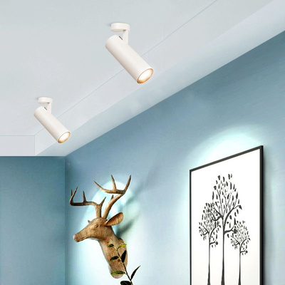 Oprawa nastropowa Abigali 12W 3000K CRI90+ 24st Biała Ściemnialna