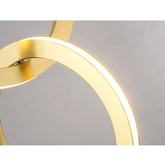Zloty RING EARRING
