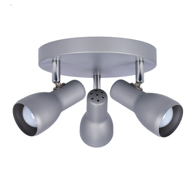 Lampa sufitowa plafon srebrny regulowany Picardo 98-44242