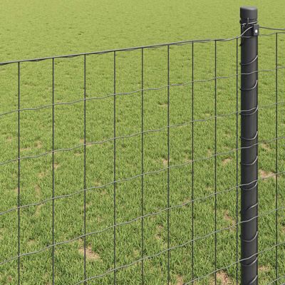 Ogrodzenie Euro 0,6 x 50 m Żelazo pokryte PVC Szary