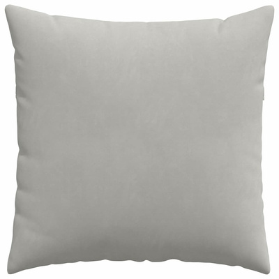 Poduszki na sofę 2 pcs Jasnoszary 60 x 60 cm tkanina