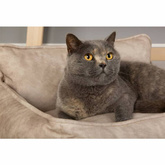 Scruffs & Tramps Legowisko dla psa Kensington, L, 90x70 cm, kremowe