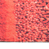 vidaXL Kuchenny dywanik podłogowy Spice, 60x300 cm
