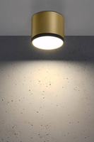 Lampa sufitowa tuba LED natynkowa złoto‑czarna zintegrowany LED 9W