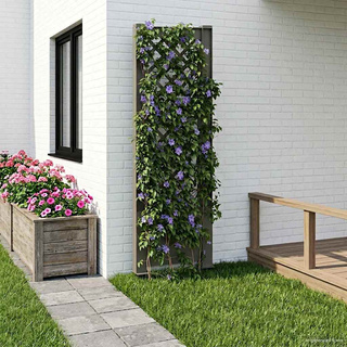 Trellis z gwoździem Szary 43 x 6 x 165 cm PP