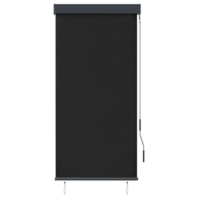 vidaXL Roleta zewnętrzna, 80x250 cm, antracytowa