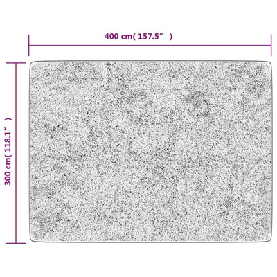 vidaXL Dywan z możliwością prania, szary, 400x300 cm