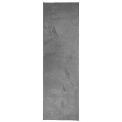 vidaXL Dywan OVIEDO z krótkim włosiem, antracytowy, 80x250 cm