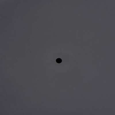 Palenisko, 57 cm, stal vidaXL