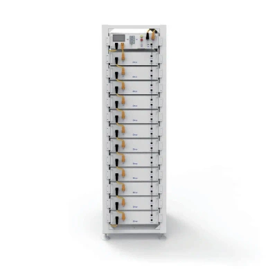 Magazyn Bank Energii 51.2V LiFePO4 61,44kWh V-TAC DEYE RACK SKU11867 BMS SKU11863 + 12xSKU1186 10 Lat Gwarancji