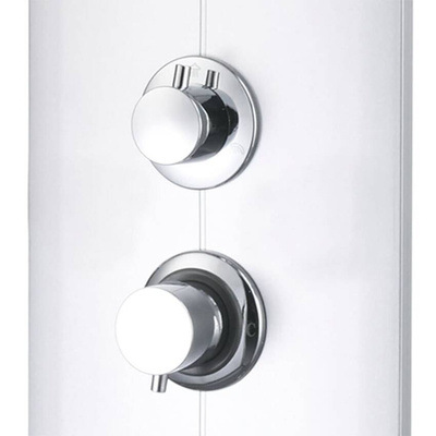 vidaXL Panel prysznicowy, 25x43x110 cm, srebrny