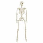 Szkielet Halloweenowy 2 pcs Biały 85 cm PVC