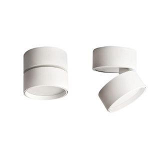 Oprawa natynkowa Abigali 18W CRI90+ 120° Biała WW