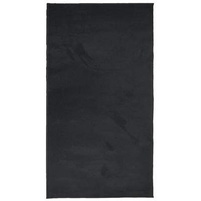 vidaXL Dywan OVIEDO z krótkim włosiem, czarny, 60x110 cm