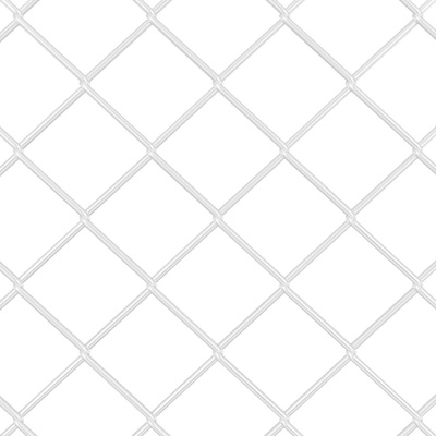 Ogrodzenie łańcuchowe 25 x 0,8 m Stal galwanizowana srebrny