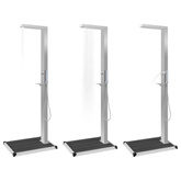 Prysznic ogrodowy z podstawą, WPC, stal nierdzewna