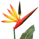 Sztuczna roślina Strelitzia zielony 65 x 13 x 55 cm