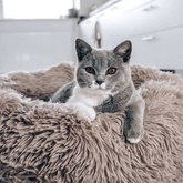 DISTRICT70 Legowisko dla zwierząt FUZZ, piaskowe, S