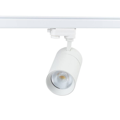Blaupunkt Reflektor LED 1-fazowy Vision 30W biały z przełącznikiem barwy światła