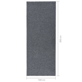 vidaXL Dywanik pochłaniający zabrudzenia, 100x300 cm, szary