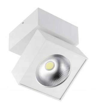 Oprawa oświetleniowa sufitowe natynkowe 15 W zintegrowane źródło LED