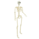 Szkielet Halloweenowy 2 pcs Biały 85 cm PVC