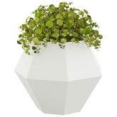 Donica 2 pcs Biały 75 x 75 x 60 cm Stal
