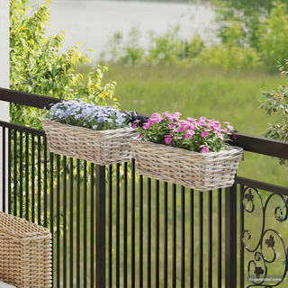 Hanging Planter Kosz 2 szt. Naturalna szarość 48 x 22 x 15 cm