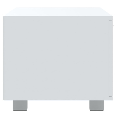vidaXL Szafka pod TV, biały, 120x40,5x35 cm, materiał drewnopochodny