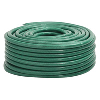 Wąż ogrodowy, zielony, 1", 30 m, PVC