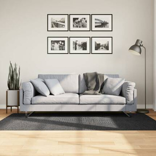 vidaXL Dywan IZA z krótkim włosiem, antracytowy, 100x200 cm