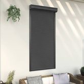 vidaXL Roleta zewnętrzna, aluminiowa, 100 x 210 cm, antracytowa