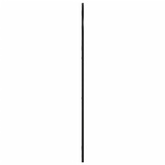 vidaXL Lustro ścienne, czarne, 60x110 cm, zakończone łukiem, żelazo