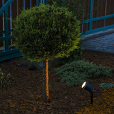 Reflektor ogrodowy wbijany LED HORTUS GU10 IP65 czarny EDO777112 EDO Solutions