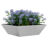 Doniczka ogrodowa 5 pcs Srebrny 50 x 50 x 15 cm Stal nierdzewna