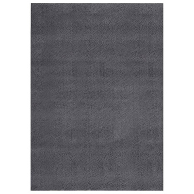 vidaXL Dywan z krótkim włosiem i możliwością prania 120x170cm antracyt