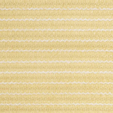 vidaXL Dywan namiotowy, 250 x 500 cm, beżowy