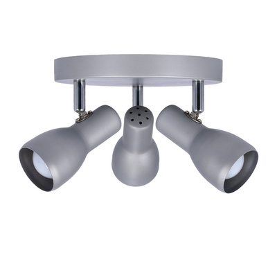 Lampa sufitowa plafon srebrny regulowany Picardo 98-44242