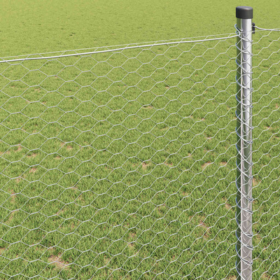 Ogrodzenie heksagonalne 1,2 x 50 m Stal galwanizowana srebrny