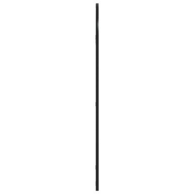 vidaXL Lustro ścienne, czarne, 50x100 cm, zakończone łukiem, żelazo
