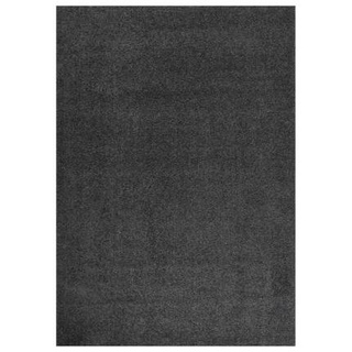 vidaXL Dywan shaggy z wysokim włosiem, antracytowy, 120x170 cm