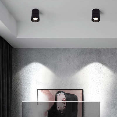 Lampa punktowa Czarna 30W Spot LED 4000-4500K Abruzzo Romeo