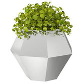 Donica 2 pcs Srebrny 75 x 75 x 60 cm Stal Galwanizowana