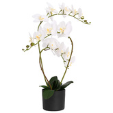 Sztuczny kwiat orchidei w doniczce Biały 45 x 15 x 65 cm