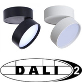 OPRAWA SUFITOWA TUBA DOWNLIGHT URBAN DALI18W Biały Unilight