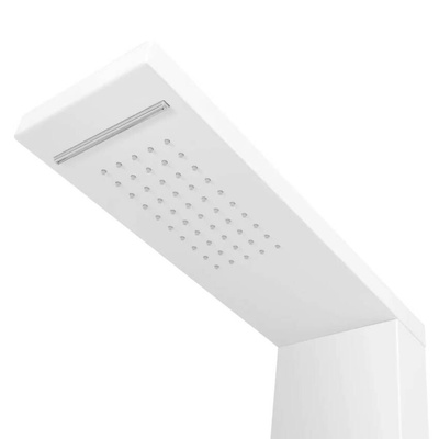 vidaXL Panel prysznicowy, aluminiowy, matowy, biały