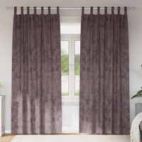 Zasłony z weluru z zasłonami 2 pcs Brązowy 260 x 140 cm Aksamit